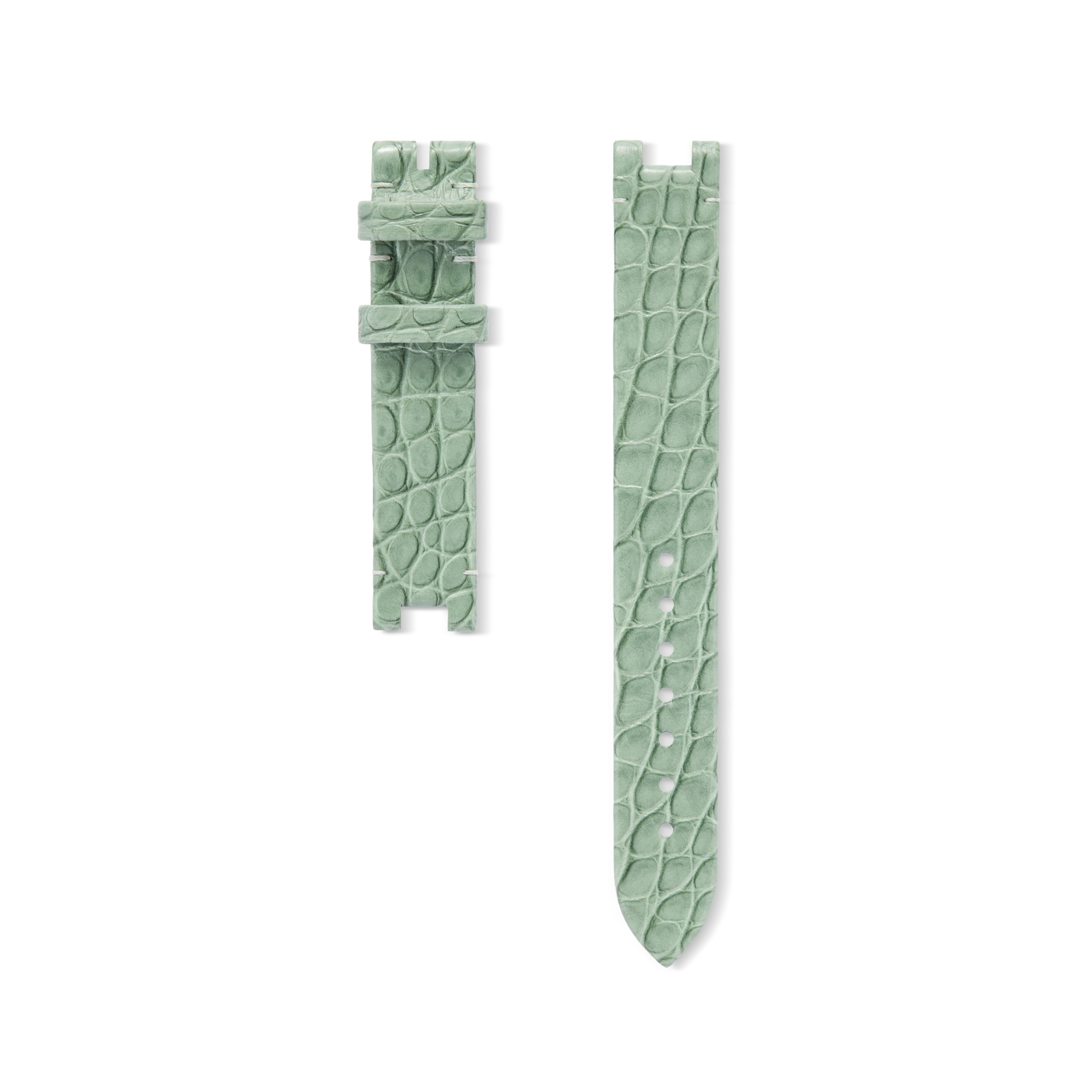 Color Blossom Sage Green Alligator Strap - All Watches | LOUIS VUITTON